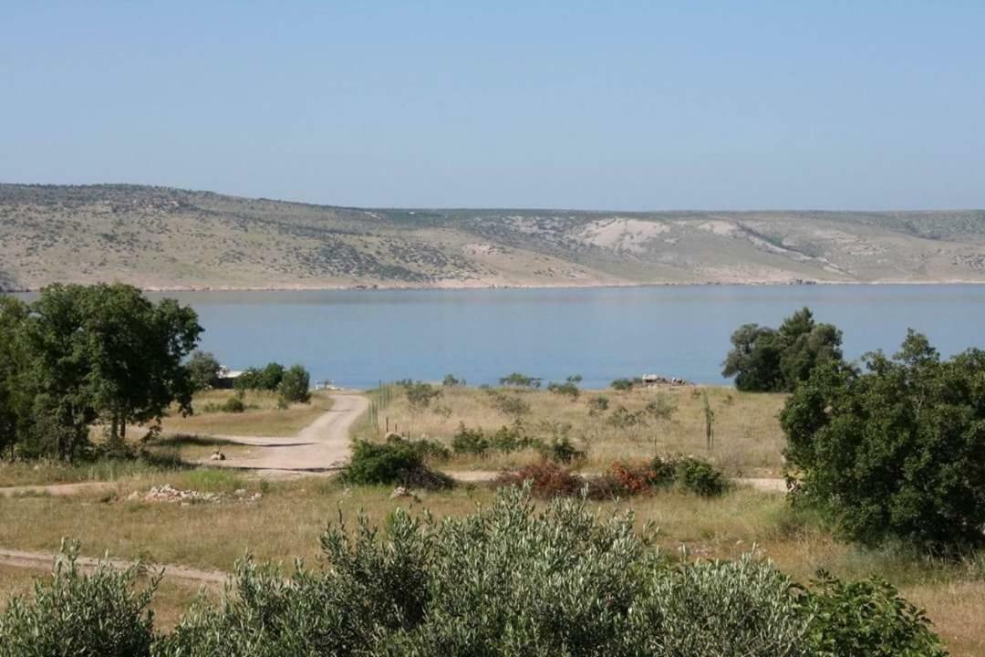 סטאריגרד-פקלניצה Apartmani Korina מראה חיצוני תמונה